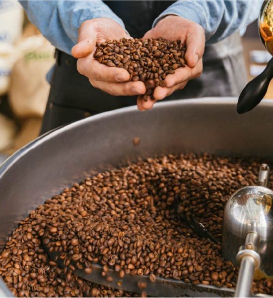 Qualidade-cafe-Mauro-Benedetti