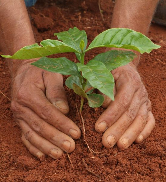 Sustainability-in-our-hands